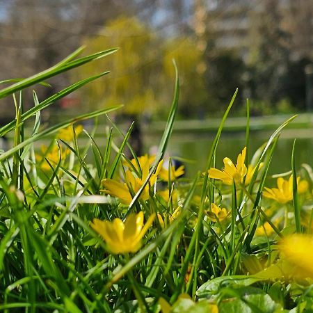 Apartament Central Park Kielce Ngoại thất bức ảnh